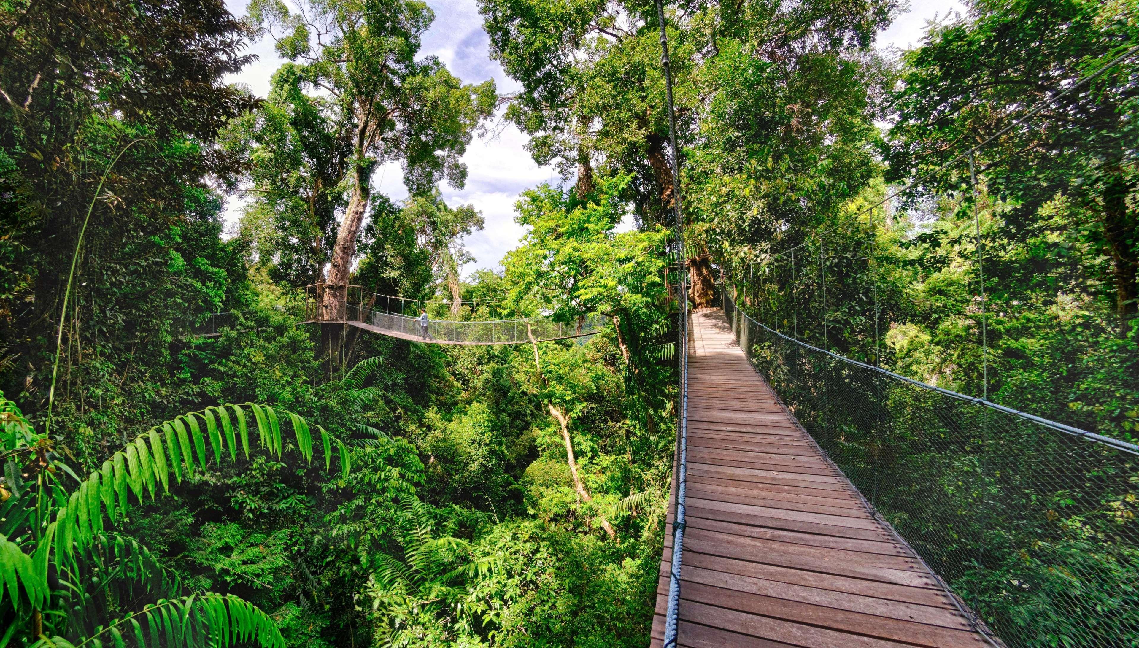 Bunga Raya Island Resort & Spa Gaya Island Esterno foto